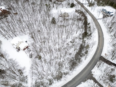 Lot 103 Russell Ct, Indian Mountain Lake, PA 18330 - photo 6