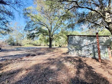 5343 Alabama 153, Samson, AL 36477 - photo 5