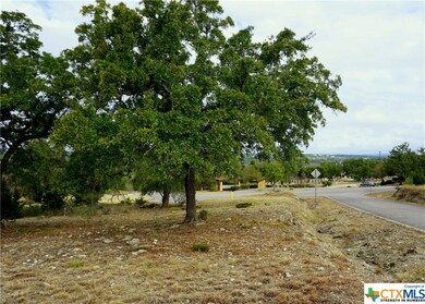 606 Angelica Vista, Canyon Lake, TX 78133 - photo 3