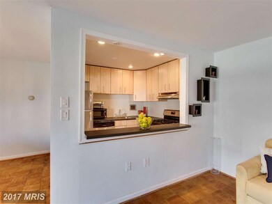 6139 Leesburg Pike unit 406, Baileys Crossroads, VA 22041 - photo 6