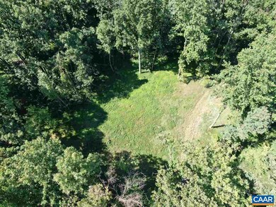 0 White Eagle Ln unit 610305, Charlottesville, VA 22903 - photo 5