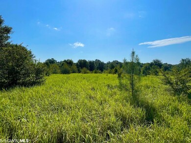 0 Albert Evans Rd unit 335684, Wilmer, AL 36587 - photo 3