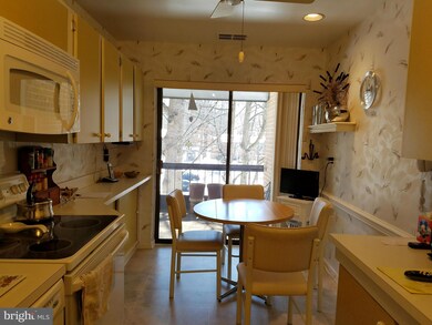 Heather Ridge unit 311, Baltimore, MD 21209 - photo 7