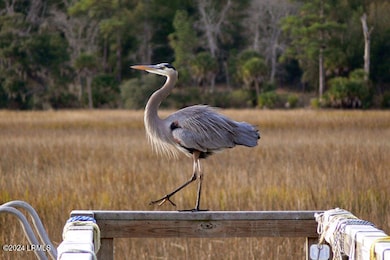 Birds_07