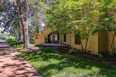 19717 Mount Bachlor Drive-2