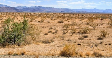 S Angell Rd, Yucca, AZ 86438 - photo 2