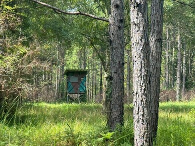 0 Nokomis Rd unit 21694228, Walnut Hill, FL 32568 - photo 3