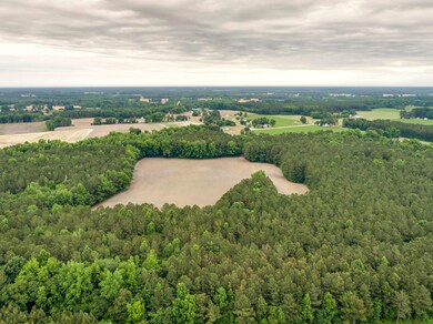 4746 Rosebud Church Rd, Elm City, NC 27822 - photo 4