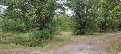 313 Michael Rd, Melber, KY 42069 - photo 5