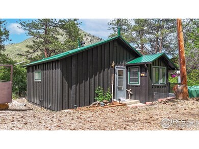 30 Falls Creek Dr, Bellvue, CO 80512 - photo 4