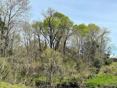 0 Highway 80, Gallion, AL 36732 - photo 6