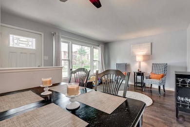 1046 S East Ave, Oak Park, IL 60304 - photo 5