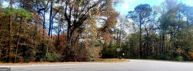 LOT 5 Vaughn Rd, Newnan, GA 30265 - photo 5