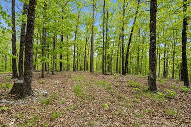 Lot 3 Sapphire Terrace, Ruth B Rural Township, MO 65686 - photo 4