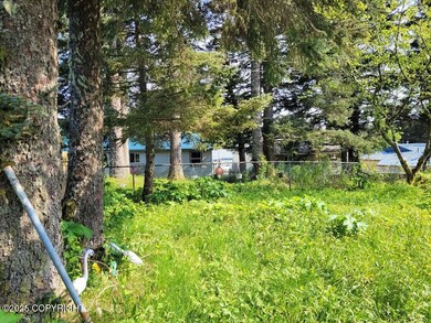 1014 Thorsheim St, Kodiak, AK 99615 - photo 5