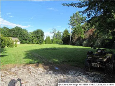 Expansive back yard that leads to the bayou