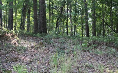 Additional View