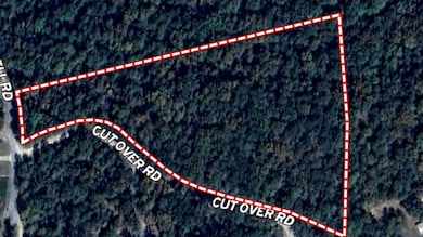 0 Gibson Cove Dr unit 24700177, Ashville, AL 35953 - photo 4