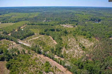 tbd Mack St, Gaston, SC 29053 - photo 5