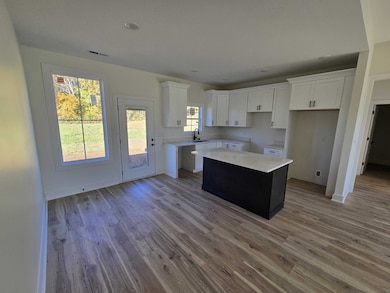 8897 Jacksboro Rd, Centertown, TN 37110 - photo 2