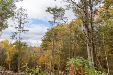 View from Deck