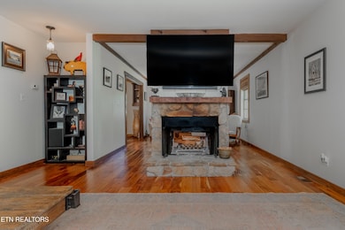 Living room Fireplace