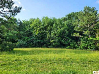 2.5 ac Kirkhills Ln, Glasgow, KY 42141 - photo 6