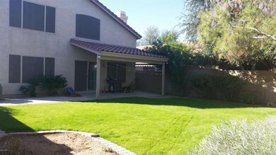 Back Yard 2