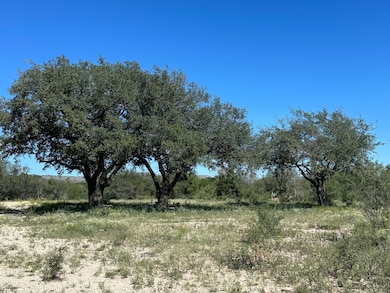22189 Texas 55, Uvalde, TX 78801 - photo 2