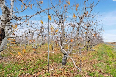 250-N E Desert Aire Dr SW, Desert Aire, WA 99349 - photo 7