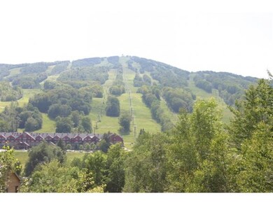 B Pinnacle View Dr unit B, Dover, VT 05356 - photo 4