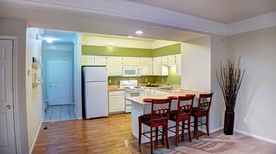 Open and Spacious