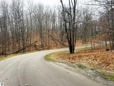 Lot 57 Valley Run Rd unit 57, Custer Township, MI 49615 - photo 7