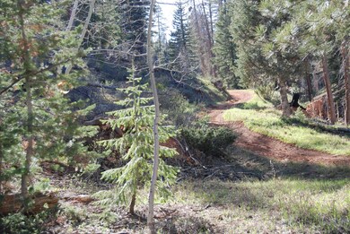 735 N Swains View Trail, Duck Creek Village, UT 84762 - photo 3