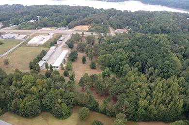 TRact #1 Hwy 79 N, Buchanan, TN 38222 - photo 7