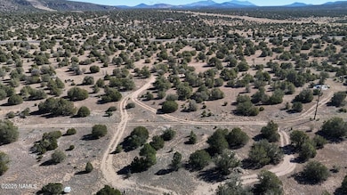 13887 Bly Station Rd A, Williams, AZ 86046 - photo 3