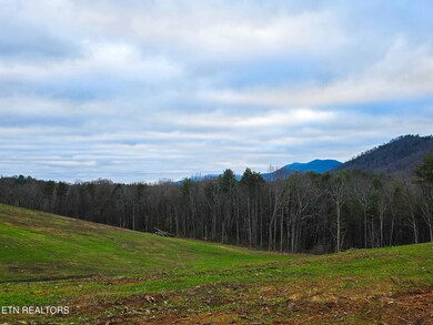 Creek Rd, Reliance 3