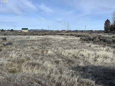 0 Elm Ln unit L5200 685282775, Christmas Valley, OR 97641 - photo 3