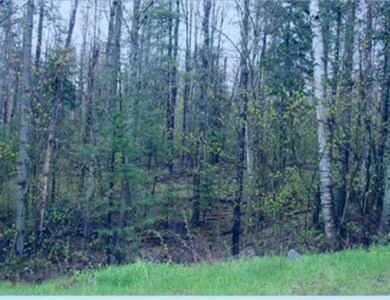 361 Old Franconia Rd, Bethlehem, NH 03574 - photo 2