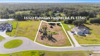 15323 Fishhawk Heights Run, Lithia, FL 33547 - photo 7