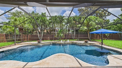 Pool - Wide View