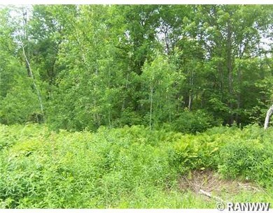 Lot 10 Deer Stand Trail, Meenon Township, WI 54893 - photo 6
