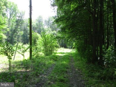 163 Sassi Rd, Penns Grove, NJ 08069 - photo 2