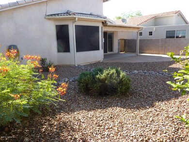 backyard2