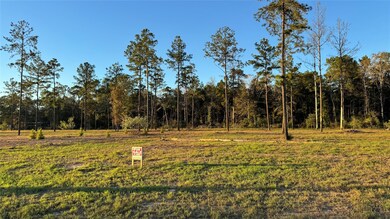 20039 Kincaid Dr, Conroe, TX 77306 - photo 7