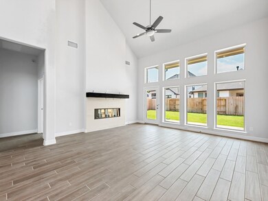 24627 Carleton Lake Ln, Tomball, TX 77375 - photo 3