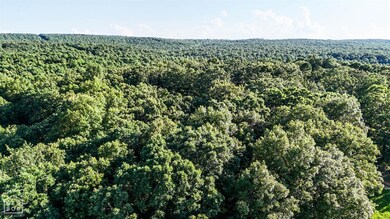 0 SE Rd unit 10123332, Bradford, AR 72020 - photo 4