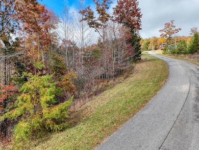 LT 29 Sharp Top Settlement, Blairsville, GA 30512 - photo 3