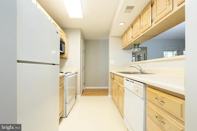 13110 Briarcliff Terrace unit 607, Germantown, MD 20874 - photo 7