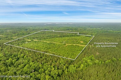 4-web-or-mls-Plot Jacksons Gap-4